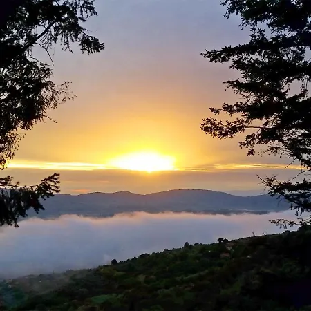 Belvedere-5 By Interhome Pulicciano